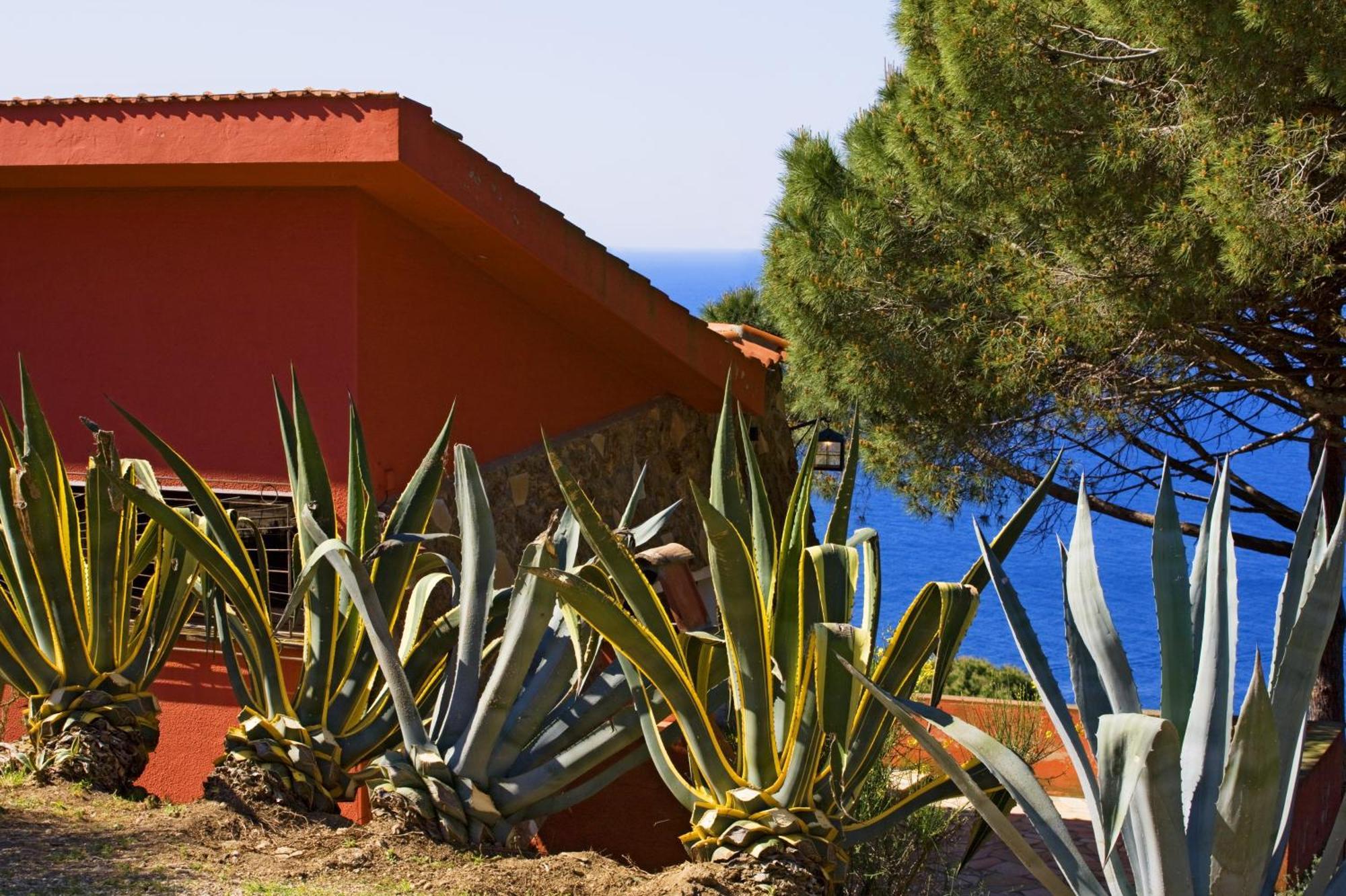 Tenuta Delle Ripalte Capoliveri  Habitación foto